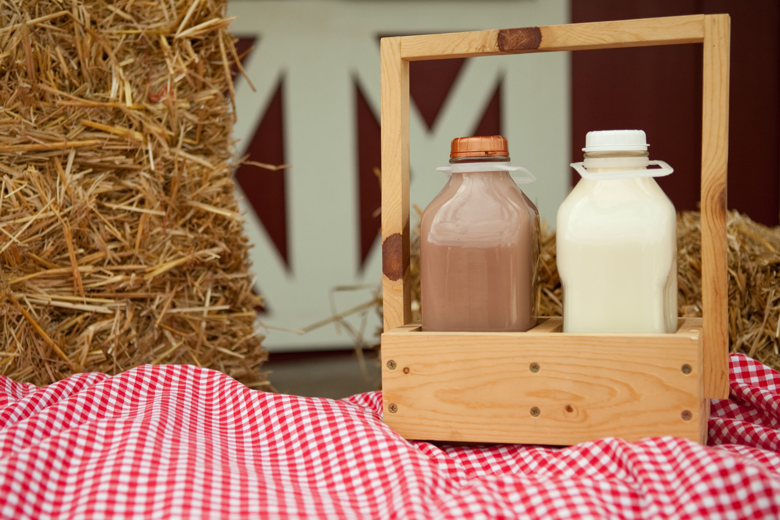 Fresh milk for MooThru ice cream